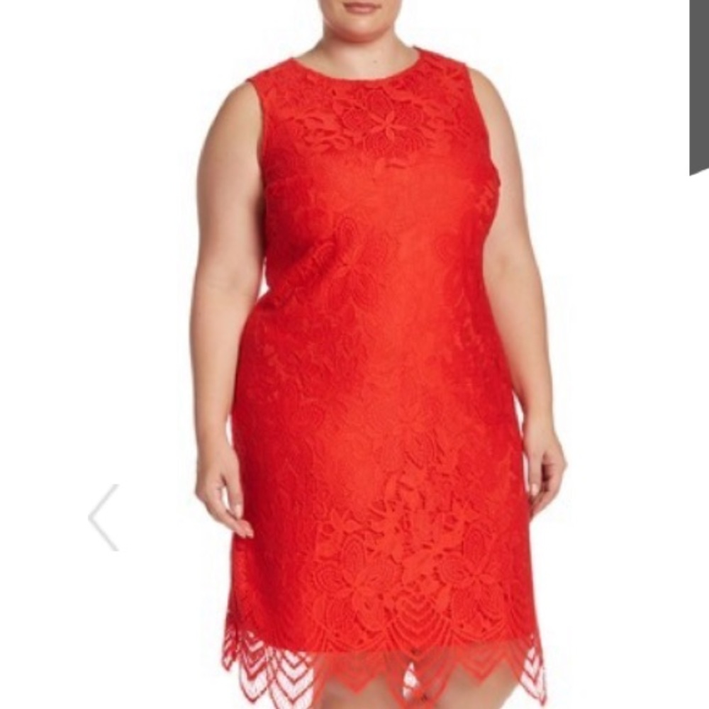 ❣️SHARAGANO❣️PETITE SCALLOP LACE TANK DRESS❣️